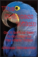 The Princess Witch; Or, It Isn't As Easy To Go Crazy As You Might Think 1087801265 Book Cover