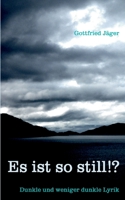 Es ist so still!?: Dunkle und weniger dunkle Lyrik 3966921081 Book Cover