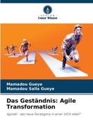 Das Geständnis: Agile Transformation (German Edition) 6209876471 Book Cover