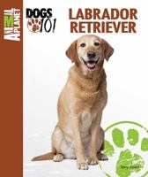 Labrador Retriever 0793837189 Book Cover