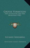 Grosse Verm�gen. Ihre Entstehung Und Ihre Bedeutung 1168409020 Book Cover