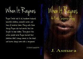 When It Raynes: Trilogy 0692761535 Book Cover