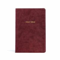 KJV Rainbow Study Bible, Burgundy LeatherTouch, Indexed 1087782740 Book Cover