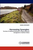 Harnessing Synergies 3844306854 Book Cover