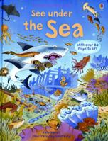 See Under the Sea (Usborne Flap Book) 0794530729 Book Cover