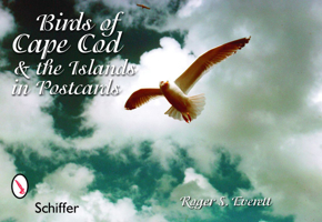 Birds of Cape Cod & the Islands in Postcards 0764324489 Book Cover