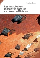 Les improbables rencontres dans les carrières de Bibémus (French Edition) 2342168276 Book Cover