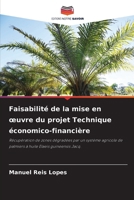 Faisabilité de la mise en oeuvre du projet Technique économico-financière 620738377X Book Cover