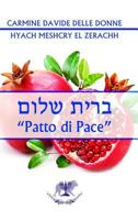 Brith Shalom 1326538845 Book Cover