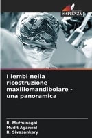 I lembi nella ricostruzione maxillomandibolare - una panoramica (Italian Edition) 6207562682 Book Cover