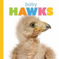 Baby Hawks (Starting Out) 1682775720 Book Cover