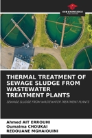 Thermal Treatment of Sewage Sludge from Wastewater Treatment Plants 6630275373 Book Cover