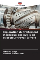Exploration du traitement thermique des outils en acier pour travail à froid (French Edition) 620691397X Book Cover