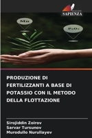 Produzione Di Fertilizzanti a Base Di Potassio Con Il Metodo Della Flottazione (Italian Edition) 6207894065 Book Cover