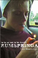 Rumspringa: To Be or Not to Be Amish 0865477426 Book Cover