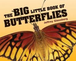 The Big Little Book of Butterflies 1402717822 Book Cover