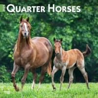 Quarter Horses 2025 12 X 24 Inch Monthly Square Wall Calendar Plastic-Free 197547760X Book Cover