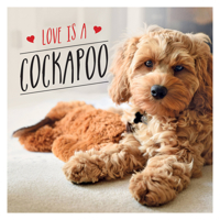 Love is a Cockapoo: A Dog-tastic Celebration of the World's Cutest Breed 1787839923 Book Cover