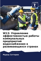 W13: Управление эффективностью работы коммунальных предприятий водоснабжения в развивающихся странах 6205903830 Book Cover