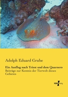 Ein Ausflug Nach Triest Und Dem Quarnero 3737201331 Book Cover