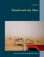 Einmal noch das Meer: Unter dem Mantel der Sachlichkeit: Krebs (German Edition) 3750414211 Book Cover