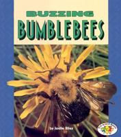 Buzzing Bumblebees (Pull Ahead Books) 082254668X Book Cover