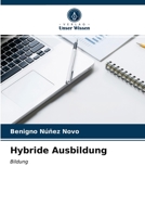 Hybride Ausbildung 6203363308 Book Cover