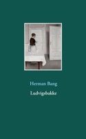 Ludvigsbakke 1482606674 Book Cover