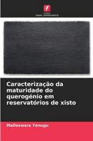Caracterização da maturidade do querogénio em reservatórios de xisto (Portuguese Edition) 6208835550 Book Cover