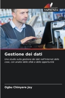 Gestione dei dati (Italian Edition) 6207756517 Book Cover