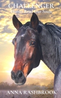 Challenger: Horses Reflect Our Souls 1090943776 Book Cover