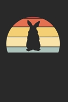 Hase Kaninchen Notizbuch: Hase Kaninchen Notizbuch f�r Liebhaber / Notizheft / Notizblock A5 (6x9in) Dotted Notebook / Punkteraster / 120 gepunktete Seiten 1673953050 Book Cover