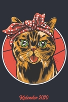 Kalender 2020: Kalender DIN A5 2020 1 Tag = 1 Seite mit gro�em Tagesplaner und gro�artiger �bersicht. Monats�bersicht, Erinnerung und Notizen in diesem Kalenderbuch. Motiv Katze Miau Mietze Katzenfan  1677555319 Book Cover