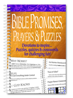 Bible Promises, Prayers & Puzzles 0996386823 Book Cover