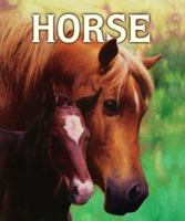 Horse 1416911030 Book Cover