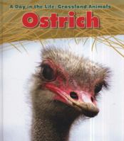 Ostrich 1432947303 Book Cover