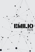 Terminkalender 2020: Für Emilio personalisierter Taschenkalender und Tagesplaner ca DIN A5 | 376 Seiten | 1 Seite pro Tag | Tagebuch | Wochenplaner (German Edition) 1675296634 Book Cover