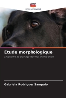 Étude morphologique: Le système de drainage lacrymal chez le chien (French Edition) 6207583957 Book Cover
