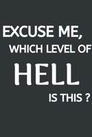 Excuse Me, Which Level Of HELL Is This?: Softcover Blank Lined Journal Coworker Notebook (6x9), Funny Office Journals 1676099441 Book Cover