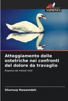 Atteggiamento delle ostetriche nei confronti del dolore da travaglio (Italian Edition) 6207716396 Book Cover
