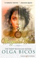 Wrapped In Wishes 1628156732 Book Cover