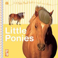 Feels Real - Little Ponies: A Feels Real Book to Touch and Share 1909763101 Book Cover