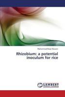 Rhizobium: a potential inoculum for rice 3659418455 Book Cover