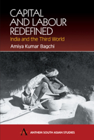 Capital and Labour Redefined: India and the Third World (Anthem South Asian Studies) 1843310694 Book Cover