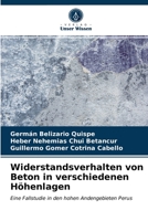 Widerstandsverhalten von Beton in verschiedenen Höhenlagen: Eine Fallstudie in den hohen Andengebieten Perus 6203397431 Book Cover