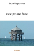 C'est pas ma faute (French Edition) 2414511508 Book Cover