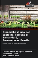 Dinamiche di uso del suolo nel comune di Tamandaré, Pernambuco, Brasile 6207799046 Book Cover