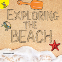 Exploring the Beach 1641561831 Book Cover