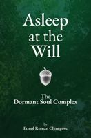 Asleep at the Will: The Dormant Soul Complex B0FNM5NTJB Book Cover