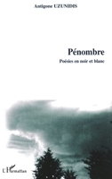Pénombre: Poésies en noir et blanc 2747597059 Book Cover